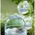 ZooVenture Cage à oiseaux portable