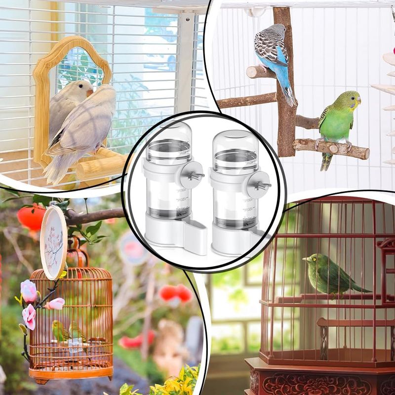 Rocky Distributeur d'eau automatique pour oiseaux de 140 ml