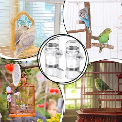 Rocky Distributeur d'eau automatique pour oiseaux de 140 ml