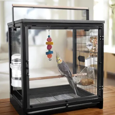 Rocky Distributeur d'eau automatique pour oiseaux de 140 ml