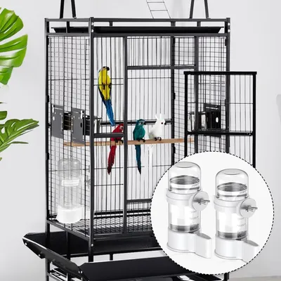 Rocky Distributeur d'eau automatique pour oiseaux de 140 ml