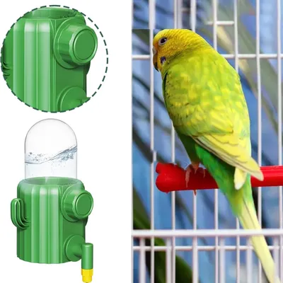 Zoomtopia Distributeur d'eau pour oiseaux