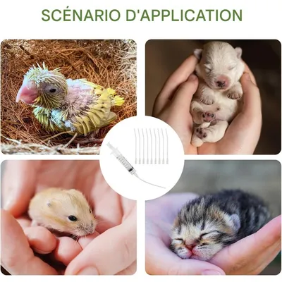 ZooVenture Sondes d'alimentation pour oisillons et tortues