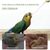 ZooVenture Sondes d'alimentation pour oisillons et tortues