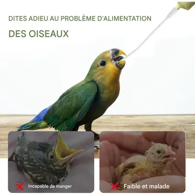 ZooVenture Sondes d'alimentation pour oisillons et tortues