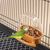 ZooVenture Distributeur de nourriture pour perroquet