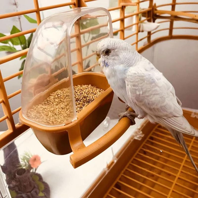 ZooVenture Distributeur de nourriture pour perroquet