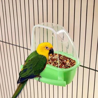ZooVenture Distributeur de nourriture pour perroquet