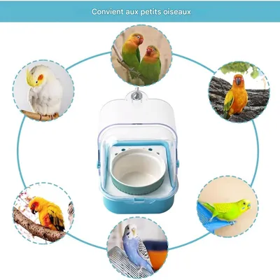 ZooVenture Baignoire pour perroquets et oiseaux