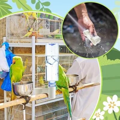 ZooVenture Set de 20 distributeurs d'eau pour oiseaux