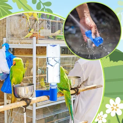 ZooVenture Set de 20 distributeurs d'eau pour oiseaux