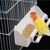 ZooVenture Lot De Quatre Gamelles Mangeoire Pour Oiseaux