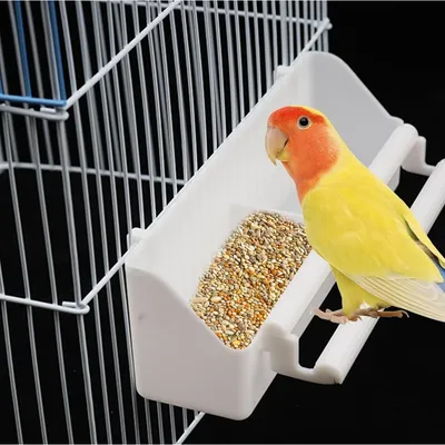 ZooVenture Lot De Quatre Gamelles Mangeoire Pour Oiseaux