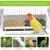 ZooVenture Lot De Quatre Gamelles Mangeoire Pour Oiseaux