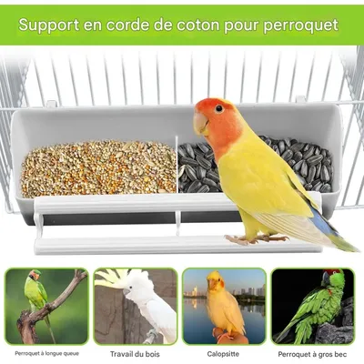 ZooVenture Lot De Quatre Gamelles Mangeoire Pour Oiseaux