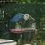 ZooVenture Mangeoire à oiseaux de fenêtre