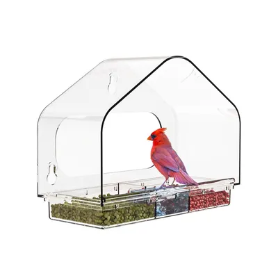 ZooVenture Mangeoire à oiseaux de fenêtre