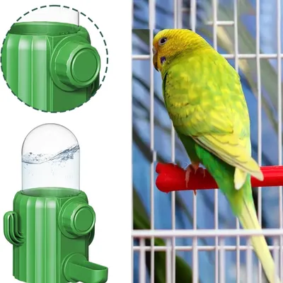 Zoomtopia Distributeur d'eau pour oiseaux