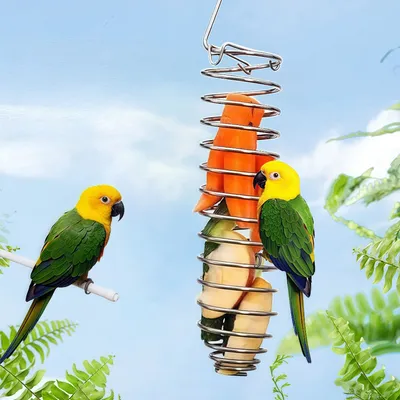 Zoomtopia Distributeur de nourriture pour oiseaux