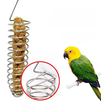 Zoomtopia Distributeur de nourriture pour oiseaux