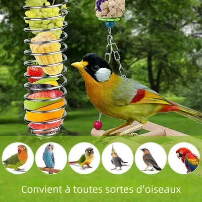 Zoomtopia Distributeur de nourriture pour oiseaux
