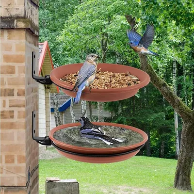 ZooVenture 2 Pcs Abreuvoir Mangeoire Bain Oiseaux Brun Pour Extérieur