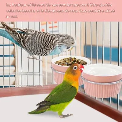 ZooVenture Coupe d'alimentation pour oiseaux