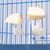 ZooVenture Ensemble de mangeoires pour oiseaux