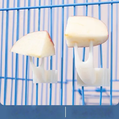 ZooVenture Ensemble de mangeoires pour oiseaux