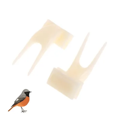 ZooVenture Ensemble de mangeoires pour oiseaux