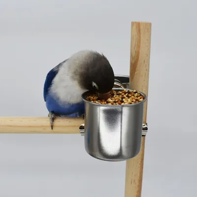 ZooVenture Bol d'alimentation pour oiseaux