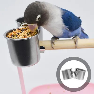 ZooVenture Bol d'alimentation pour oiseaux