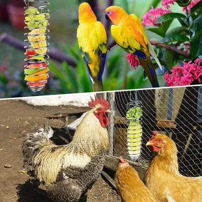 ZooVenture Distributeur de nourriture pour oiseaux