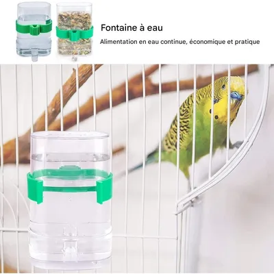 ZooVenture Quatre Distributeurs D'eau Plastique Transparent Pour Oiseaux
