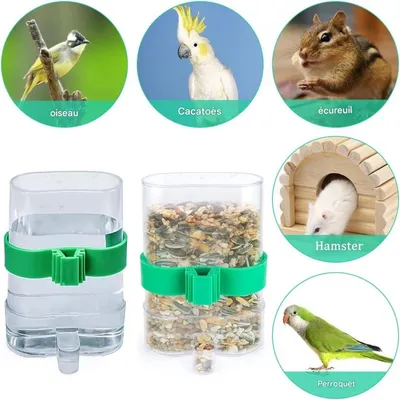 ZooVenture Quatre Distributeurs D'eau Plastique Transparent Pour Oiseaux