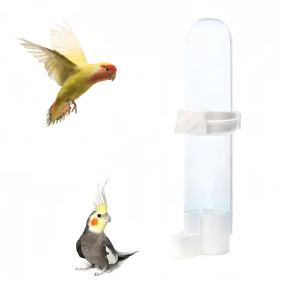 Rocky Bouteille d'eau automatique pour oiseaux de 120 ml Rocky Bouteille d'eau automatique pour oiseaux de 120 ml