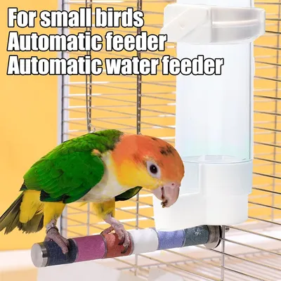 Rocky Bouteille d'eau automatique pour oiseaux de 120 ml