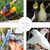 Rocky Bouteille d'eau automatique pour oiseaux de 120 ml