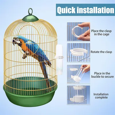 Rocky Bouteille d'eau automatique pour oiseaux de 120 ml
