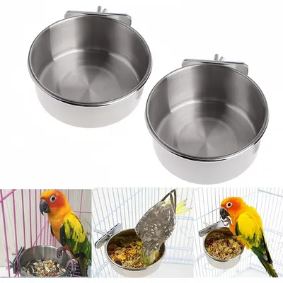 ZooVenture Nourrisseur pour oiseaux