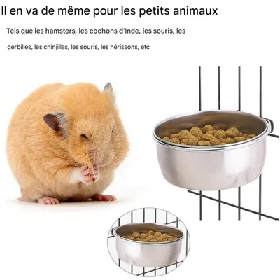 ZooVenture Nourrisseur pour oiseaux