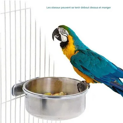 ZooVenture Nourrisseur pour oiseaux