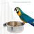 ZooVenture Nourrisseur pour oiseaux