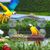 ZooVenture Mangeoire à oiseaux de fenêtre