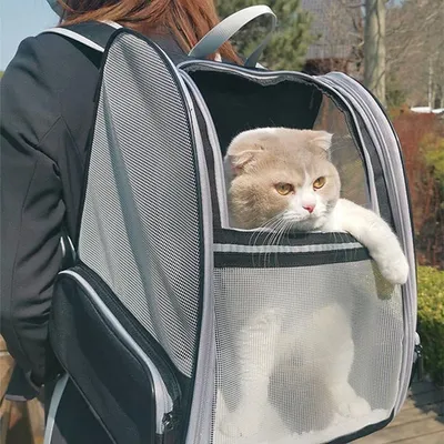 Zoomtopia Sac à dos pour transport d'animaux de compagnie