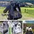 Zoomtopia Sac à dos pour transport d'animaux de compagnie