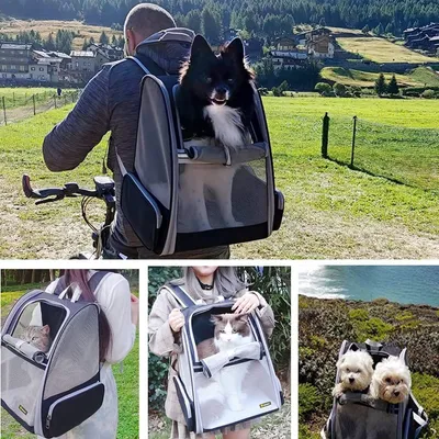 Zoomtopia Sac à dos pour transport d'animaux de compagnie