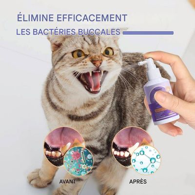 ZooVenture Spray buccal pour chiens et chats
