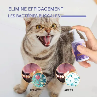 ZooVenture Spray buccal pour chiens et chats