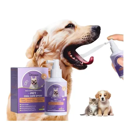 ZooVenture Spray buccal pour chiens et chats